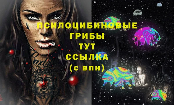 стафф Волосово