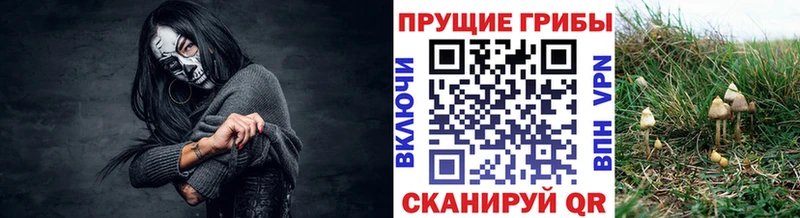где купить наркотик  Заполярный  Псилоцибиновые грибы ЛСД 